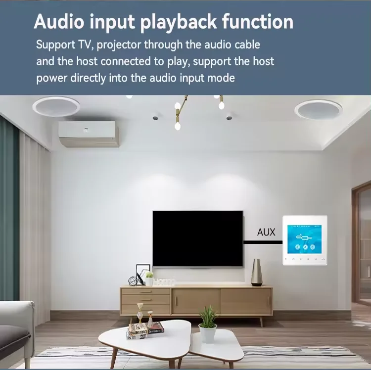 홈 블루투스 벽 증폭기 배경 음악 호스트 제어 시스템  - Audio Music For Background 리뷰 및 가격