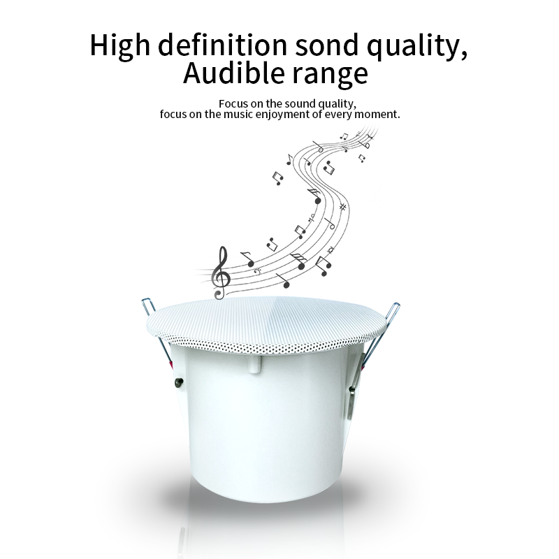 서라운드 사운드 스피커 시스템, 천장 라우드 스피커,  - Audio Music For Background 리뷰 및 가격